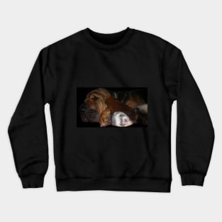 Bloodhound Ferret BFF Crewneck Sweatshirt